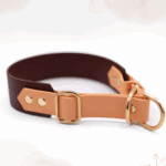 Biothane Halsband 2 Farbig