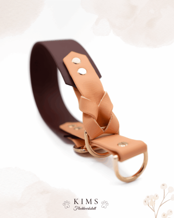 Biothane Halsband 2 Farbig