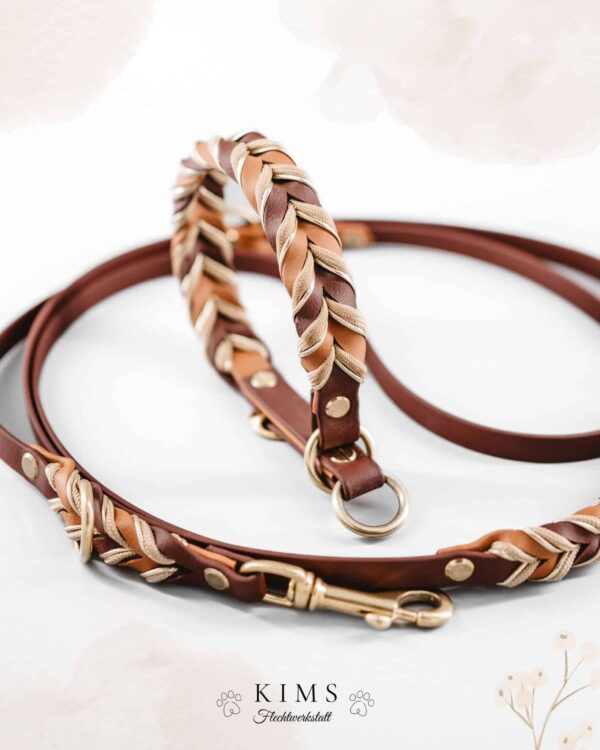 Biothane Leine Geflochten (mit Paracord)